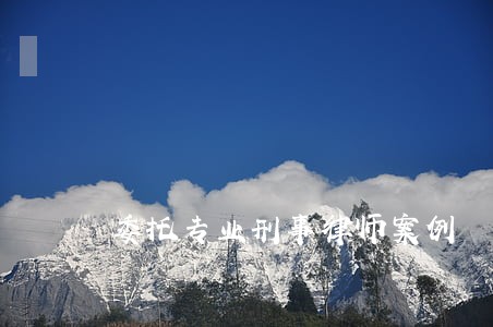 委托专业刑事律师案例 委托专业刑事律师案例