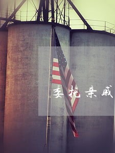 委托亲戚代理诉讼 委托亲戚代理诉讼