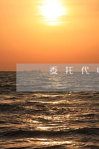 委托代收证明 委托代收证明