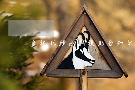 委托代理法律援助告知书 委托代理法律援助告知书