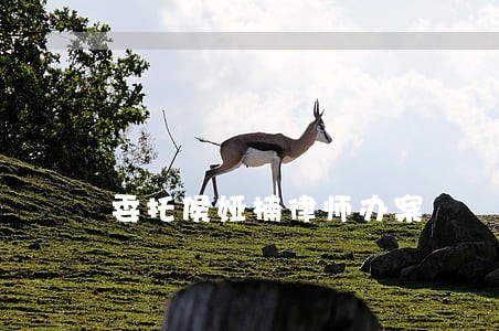 委托侯娅楠律师办案 委托侯娅楠律师办案