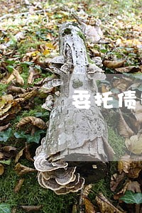 委托债务给律师事务所可靠吗 委托债务给律师事务所可靠吗