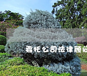 委托公司法律顾问应诉 委托公司法律顾问应诉
