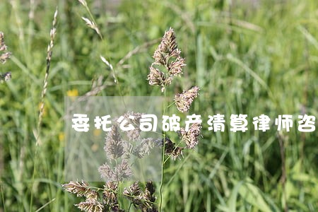 委托公司破产清算律师咨询 委托公司破产清算律师咨询