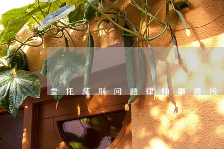 委托减刑问题律师事务所 委托减刑问题律师事务所