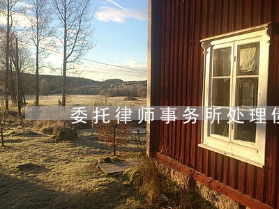 委托律师事务所处理债务 委托律师事务所处理债务