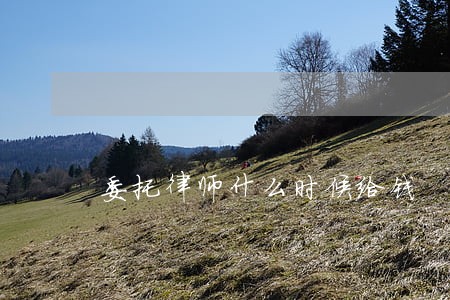 委托律师什么时候给钱 委托律师什么时候给钱