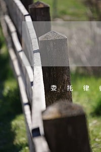 委托律师办理收养证能行吗 委托律师办理收养证能行吗