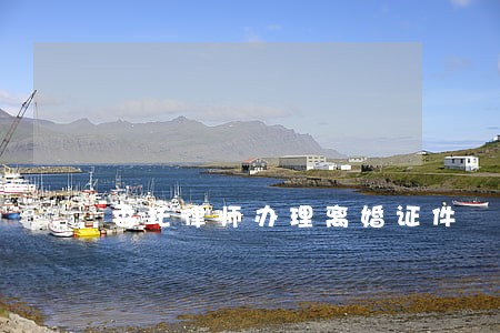 委托律师办理离婚证件 委托律师办理离婚证件