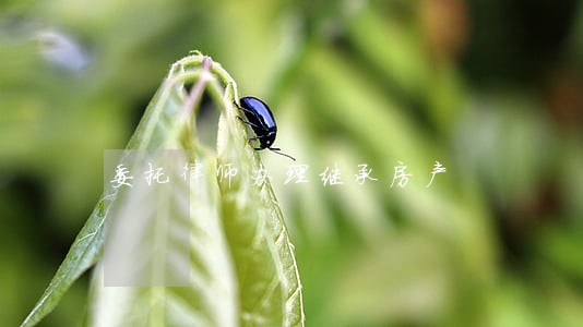 委托律师办理继承房产 委托律师办理继承房产