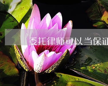 委托律师可以当保证人吗 委托律师可以当保证人吗