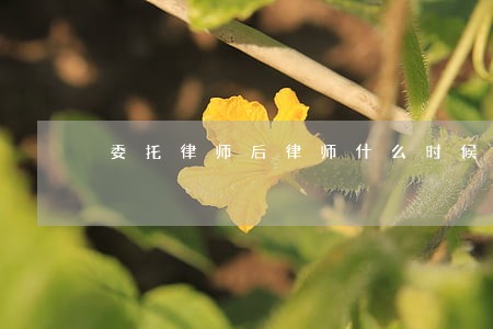 委托律师后律师什么时候开始工作 委托律师后律师什么时候开始工作