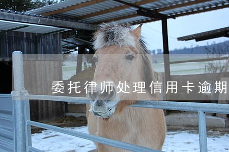 委托律师处理信用卡逾期是真的吗