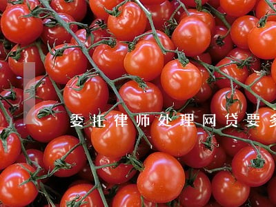 委托律师处理网贷要多少钱一般 委托律师处理网贷要多少钱一般
