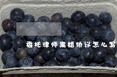 委托律师离婚协议怎么写 委托律师离婚协议怎么写