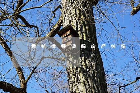 委托律师调解房产纠纷 委托律师调解房产纠纷