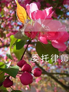委托律师起诉房产官司 委托律师起诉房产官司