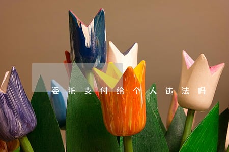 委托支付给个人违法吗 委托支付给个人违法吗