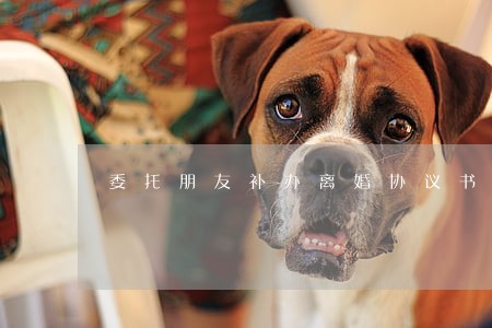 委托朋友补办离婚协议书 委托朋友补办离婚协议书