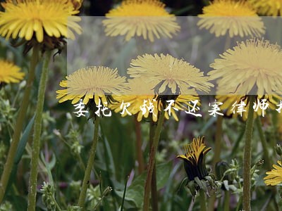 委托欠钱不还案律师推荐 委托欠钱不还案律师推荐