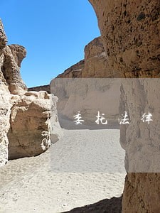 委托法律咨询公司办退保 委托法律咨询公司办退保