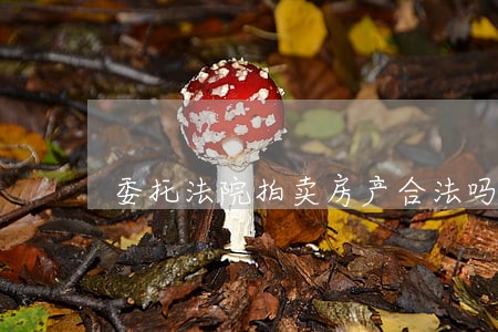 委托法院拍卖房产合法吗 委托法院拍卖房产合法吗