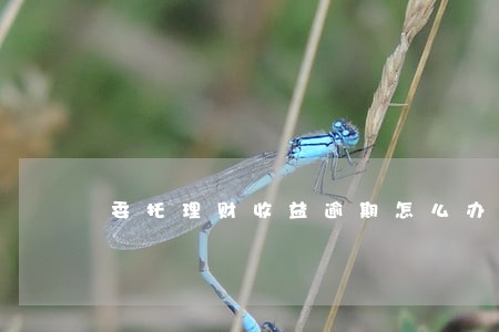 委托理财收益逾期怎么办