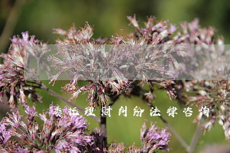 委托理财纠纷法律咨询 委托理财纠纷法律咨询