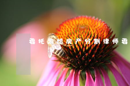 委托离婚房产分割律师委托咨询 委托离婚房产分割律师委托咨询