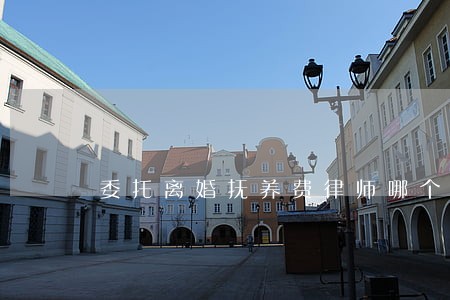委托离婚抚养费律师哪个专业