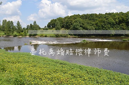 委托离婚赔偿律师费
