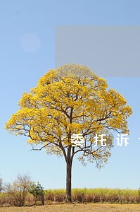委托诉讼代理制度的意义 委托诉讼代理制度的意义