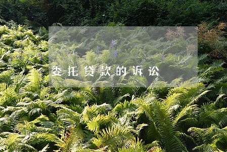 委托贷款的诉讼 委托贷款的诉讼