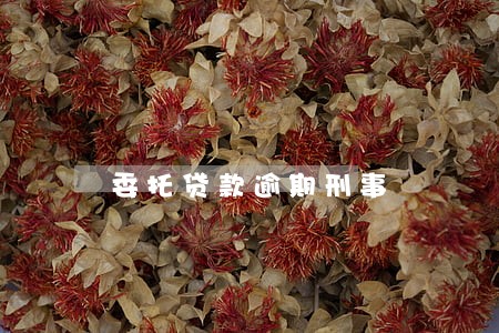 委托贷款逾期刑事 委托贷款逾期刑事