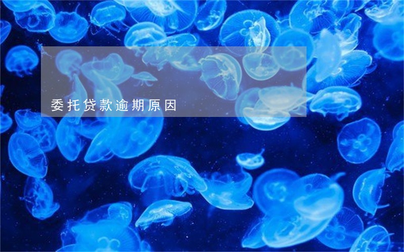 委托贷款逾期原因 委托贷款逾期原因
