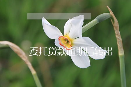 委托贷款逾期后转出 委托贷款逾期后转出