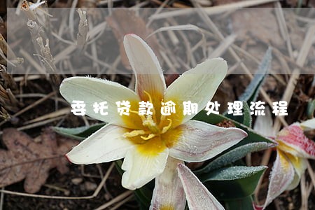 委托贷款逾期处理流程 委托贷款逾期处理流程