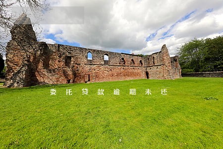 委托贷款逾期未还
