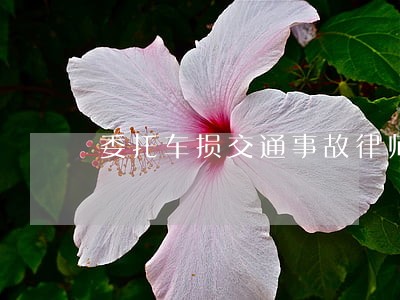 委托车损交通事故律师风险收费 委托车损交通事故律师风险收费