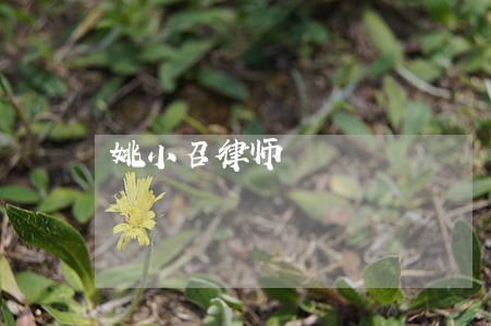 姚小召律师 姚小召律师