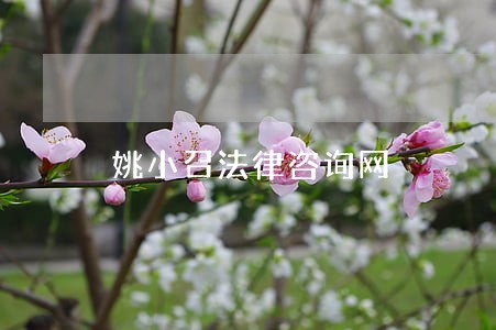 姚小召法律咨询网 姚小召法律咨询网