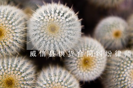 威信县供货合同纠纷律师