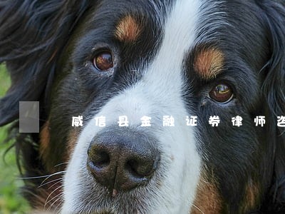 威信县金融证券律师咨询电话 威信县金融证券律师咨询电话