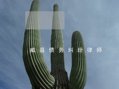 威县债务纠纷律师
