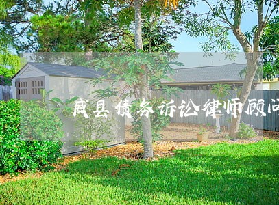 威县债务诉讼律师顾问 威县债务诉讼律师顾问