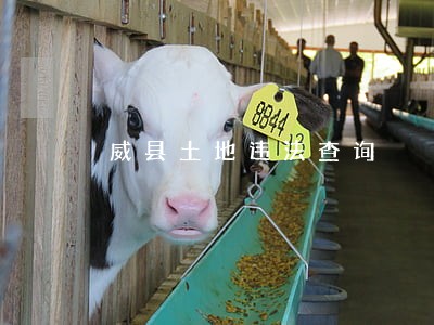 威县土地违法查询