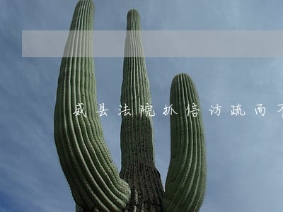威县法院抓信访疏而不堵 威县法院抓信访疏而不堵
