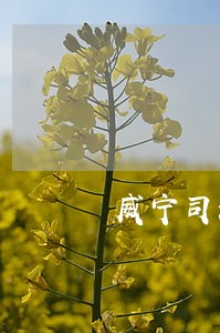 威宁司法局副局长吕娣 威宁司法局副局长吕娣