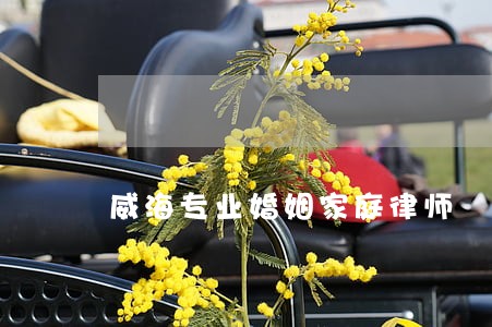 威海专业婚姻家庭律师 威海专业婚姻家庭律师