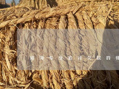 威海专业追讨欠款的律师 威海专业追讨欠款的律师